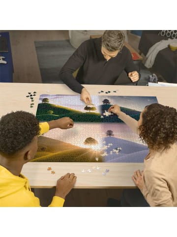 Ravensburger Puzzle 2.000 Teile Erwachsenenpuzzle 2000 Teile - Stimmungsvolle Bäume und Berge 14-99 Jahre in bunt