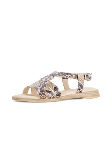 Gabor Riemchensandalen in beige