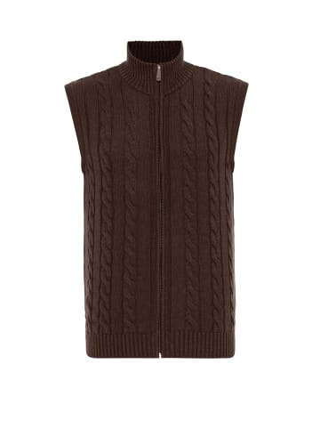 Felix Hardy Pullover in Dunkel braun