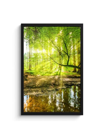 MuchoWow Poster mit Leiste Waldlicht  (BxH)