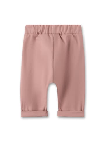 Sanetta Webhose in Rosa
