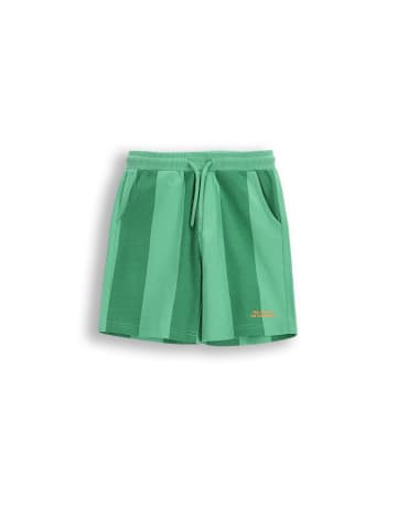 Coccodrillo Kurze Baumwollshorts in grün