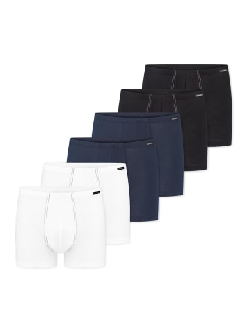 Schiesser Retro Short / Pant Cotton Essentials in Schwarz / dunkelblau / weiß