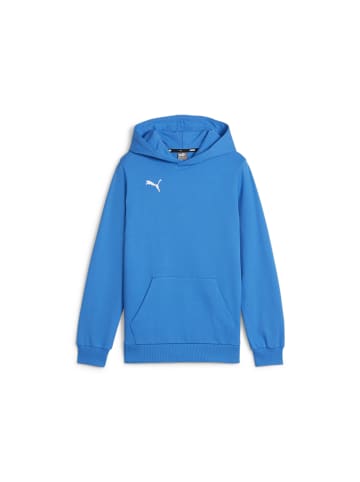 Puma Sweatshirt teamGOAL Casuals Hoody Jr in blau