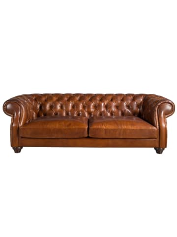 Angel Cerdá Chester-Sofa 6228 in Cognacbraun / Mahagoni – (B)226 x (H)101 x (T)70 cm