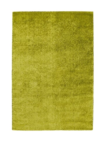 Hochflor Teppich Sergio 8100 in Hellgrün