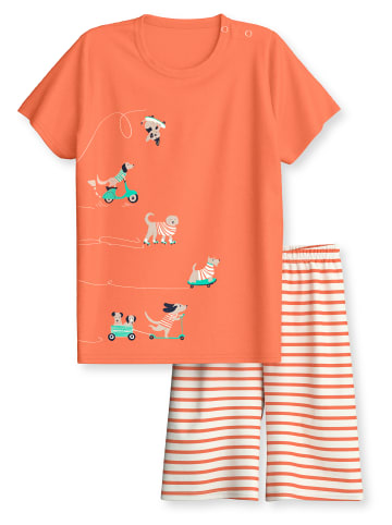 Calida Pyjama in fresh salmon