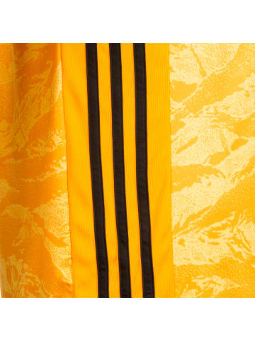 adidas Performance Torwarttrikot AdiPro 19 in gold