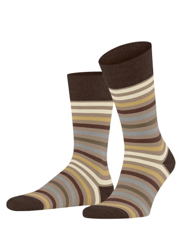 Falke Socken Tinted Stripe in Country
