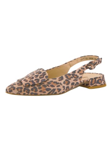 Paul Green Ballerinas in Leopard