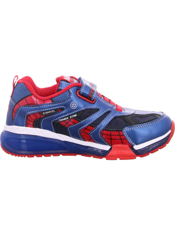 Geox Klettschuh J Bayonyc Boy in Blau