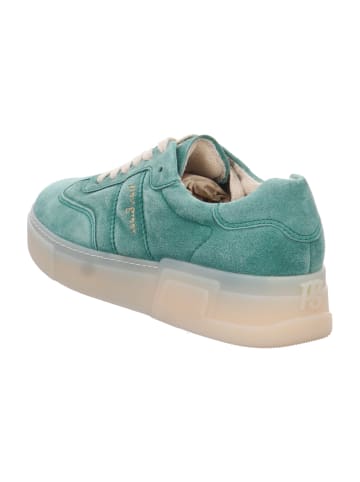 Paul Green Sportliche Schnürschuhe in Grün