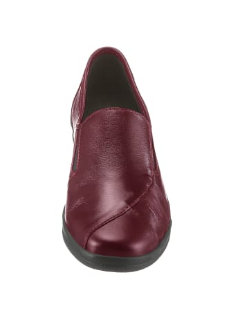 ACO Slipper in bordeaux