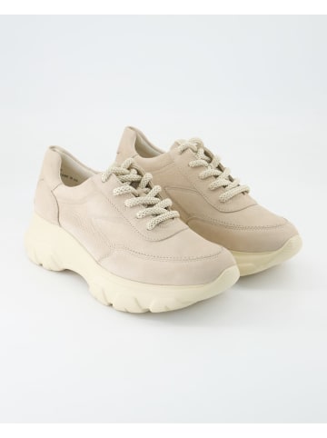 Paul Green Sneaker low in Beige