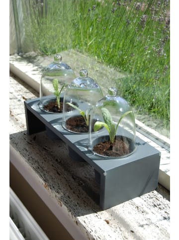 Esschert Design 5er-Set: Anzuchttopf in transparent/schwarz