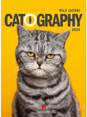 Ackermann Kunstverlag Kalender - Catography Katzen-Kalender 2026