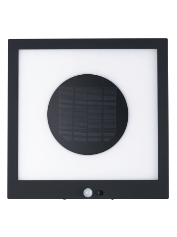 paulmann Outdoor Solar Panel Taija mit Bewegungsmelder
