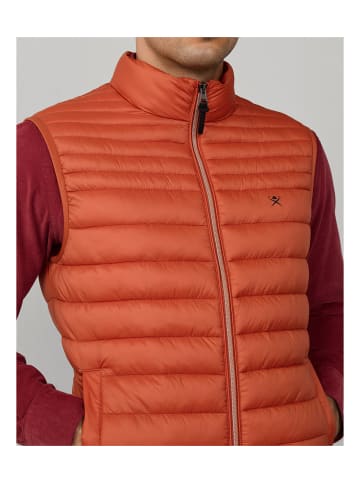 Hackett London Weste in Orange
