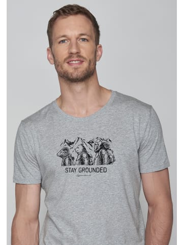 GreenBomb Guide Animal Stay Grounded in Heidekraut Grau