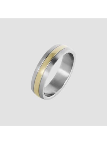 Adeliás Herren Ring aus Edelstahl in silber