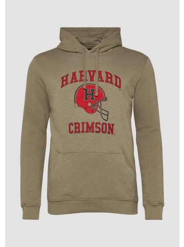 s.Oliver Sweatshirt Jacke in 78D1_olivgrün