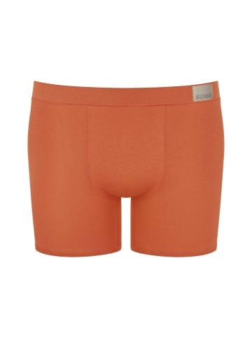 Sloggi Boxershort 4er Pack in Braun Mix