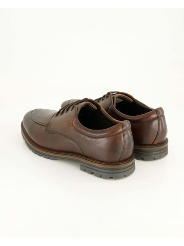 SALAMANDER Klassische Schnürschuhe in Braun