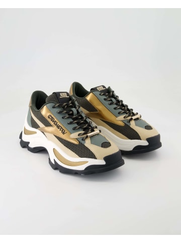 Steve Madden Sneaker low in Mehrfarbig