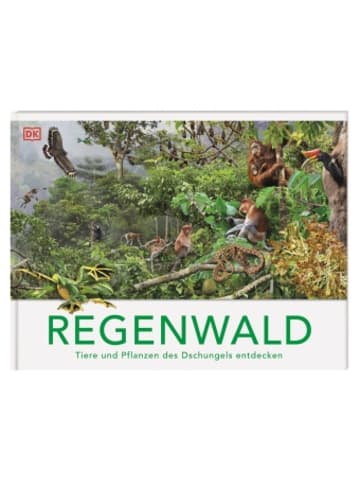 Dorling Kindersley  Buch - Regenwald