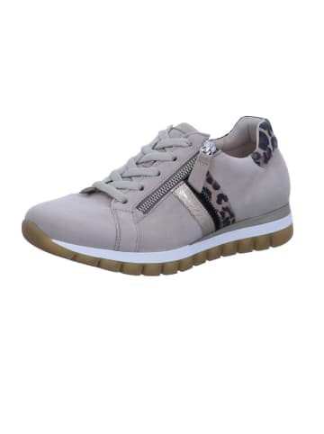 Gabor Sneaker in beige