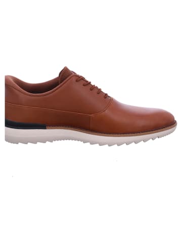 Skechers Schnürer Mako in Braun