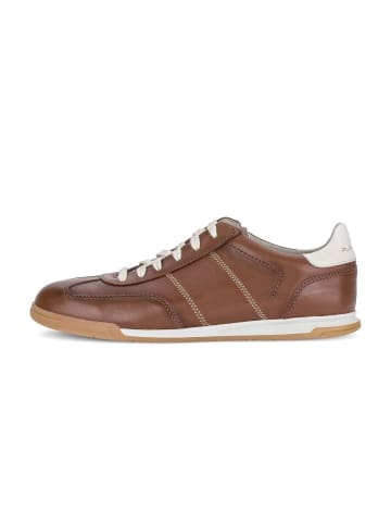 Gabor Sneaker low in braun