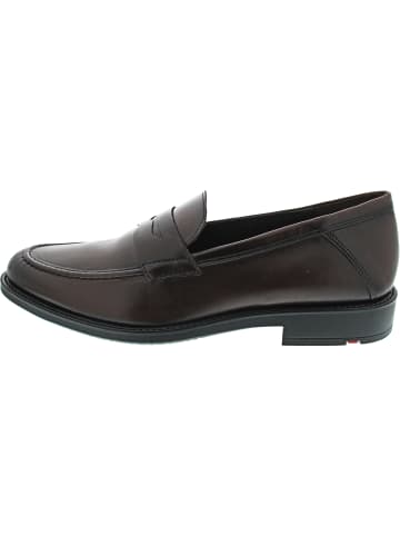 LLOYD CORE 240 Slipper Braun