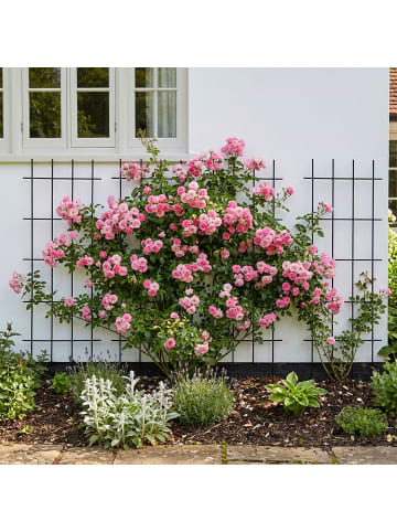 relaxdays 4 x Rankgitter in Schwarz - (B)45 x (H)115 cm