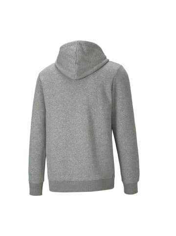 Puma Sweatshirt ESS BIG LOGO HOODIE FL in grau
