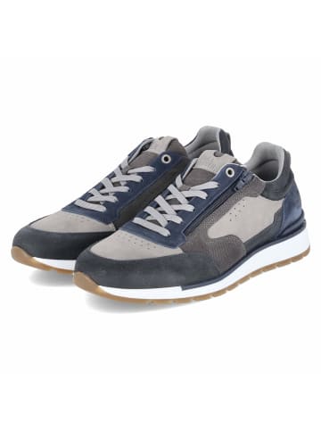 Bullboxer Schnürhalbschuh in blau