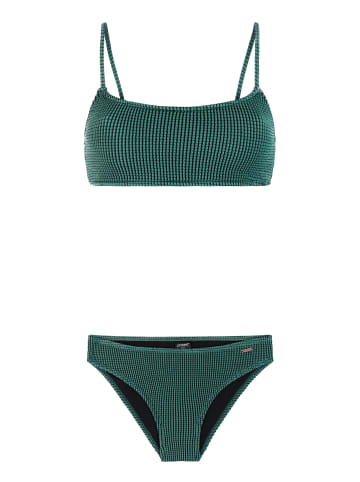 Protest " PRTJag in Laurelgreen