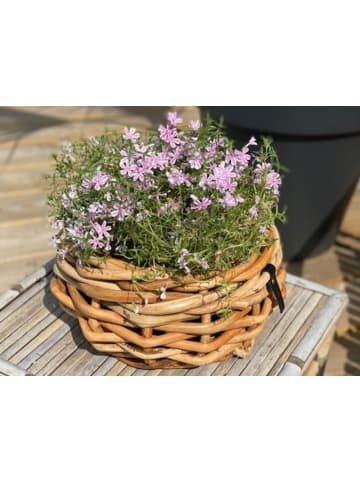 A2Living Rattan Korb Schale 2er Set 36 und 54 cm