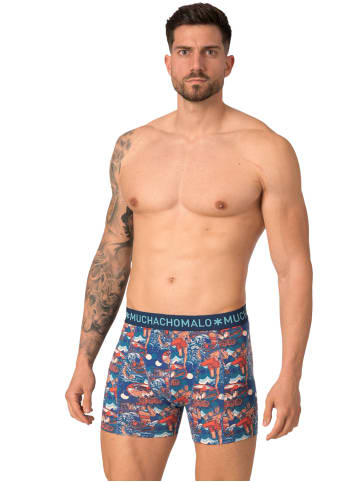 Muchachomalo 2er-Set: Boxershorts in Multicolor/Blue