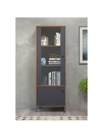 ebuy24 Vitrinenschrank Montez Graphit 63 x 40 cm