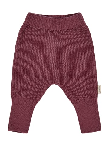 Sterntaler Strickhose in rosig