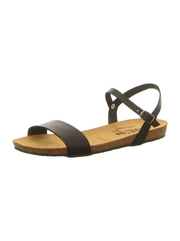 Plakton Sandale in schwarz