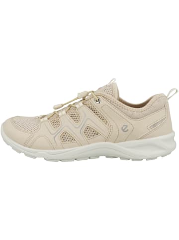 Ecco Sneaker low Terracruise LT in creme