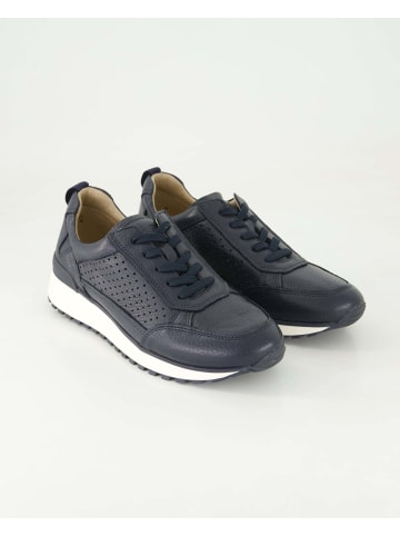 Terry Sportliche Schnürschuhe in Blau