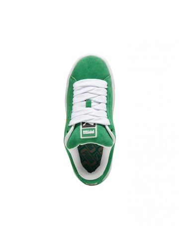 Puma Sneaker Low 396577 Grün