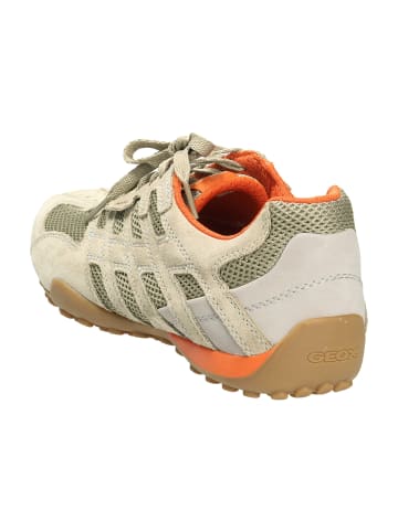 Geox Sportliche Schnürschuhe in Beige