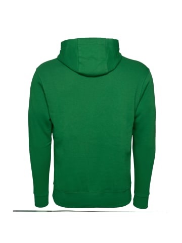 Nike Kapuzenpullover Park 20 Fleece in gruen