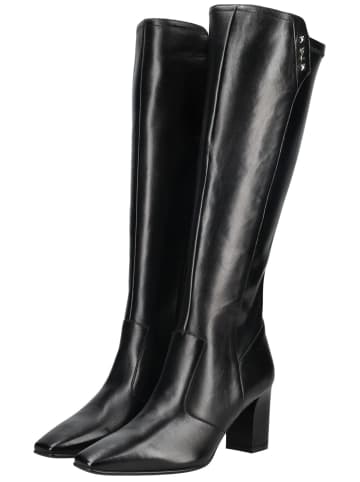 Nero Giardini Stiefel in Schwarz