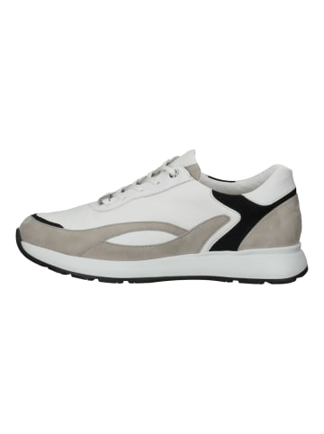 HASSIA Sneaker in Weiß/Beige