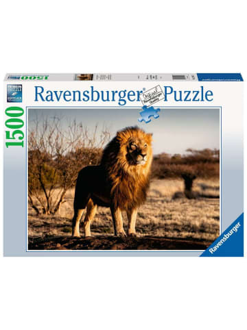 Ravensburger Puzzle 1.500 Teile Der Löwe. Der König der Tiere Ab 14 Jahre in bunt